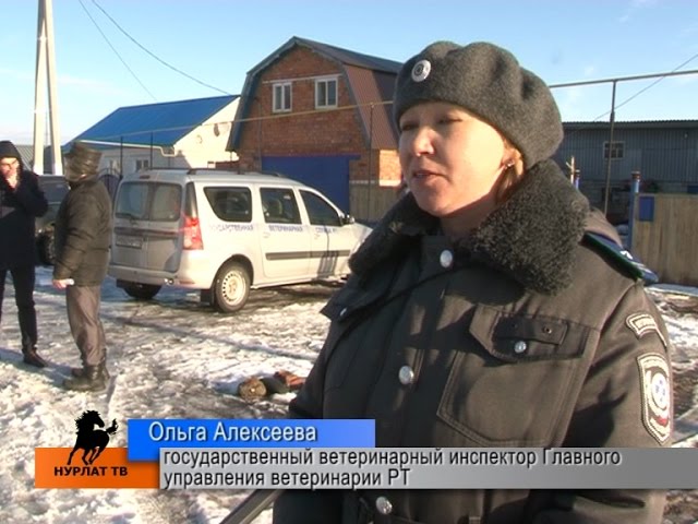 Крупному рогатому скоту грозит опасный вирус 