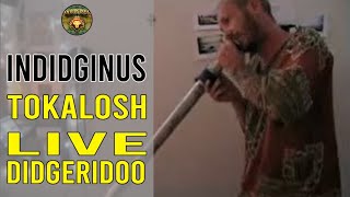 Indidginus Tokalosh - Live Slide Didgeridoo