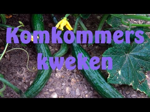 , title : 'Komkommers kweken'