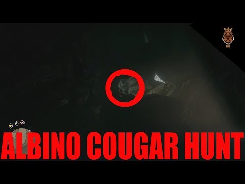 Red Dead Redemption 2 Hunting Albino Cougar Gameplay