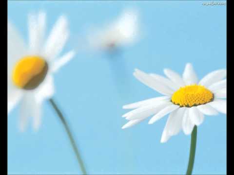 Wujot & Żuber - Coś o nas