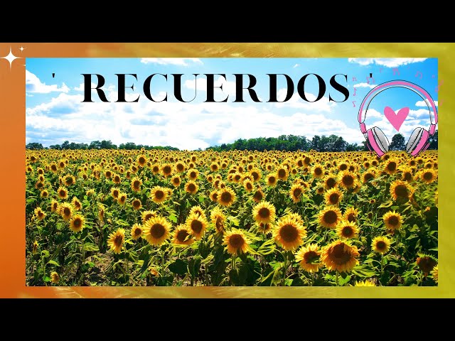 Vídeo relacionado con Recuerdo Salvaje: Un romance small town de segunda oportunidad (SUNSET VALLEY nº 1)