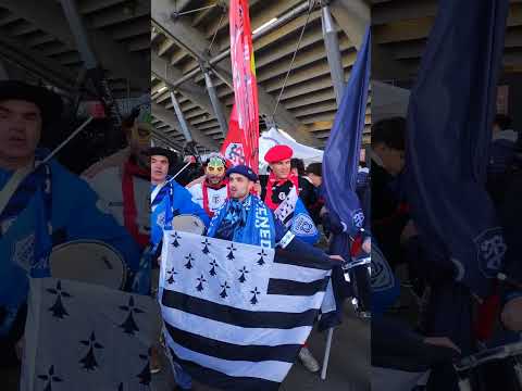 Toulouse / Vannes Avant Match