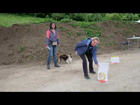 Military 2020 KVO Itingen