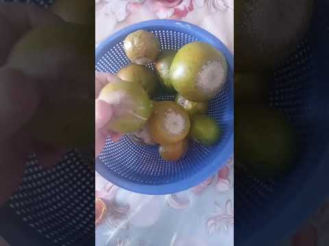 san andres sajcabaja,  quiché