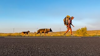 I Hiked Solo Across The Country With My Dogs (Continental Divide Trail Thru Hike 2021 in 3 minutes)