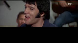 (歌詞対訳)  Hi-Heel Sneakers - Elvis Presley (1967)