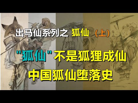 弧仙