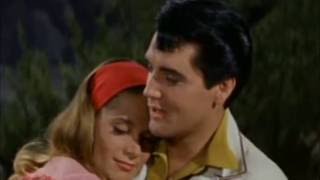 (Such An) Easy Question - Elvis Presley