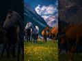 Dil Ki Awaaz Bhi Sun Mere Fasanay Pay Na Ja Mohammad Rafi Shorts Nature Pls Watch And Subscribe