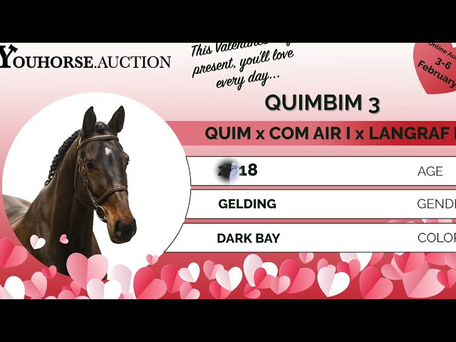 Quimbim 3