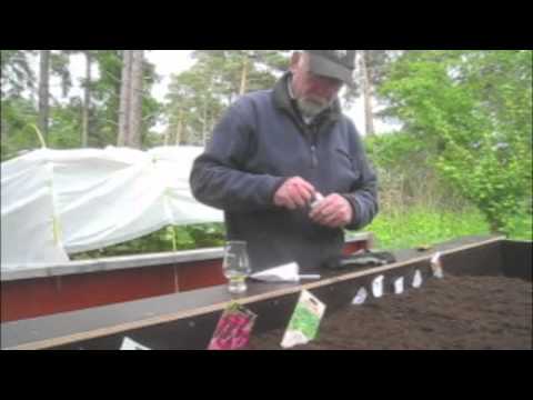 Odlarbänken och Whisky