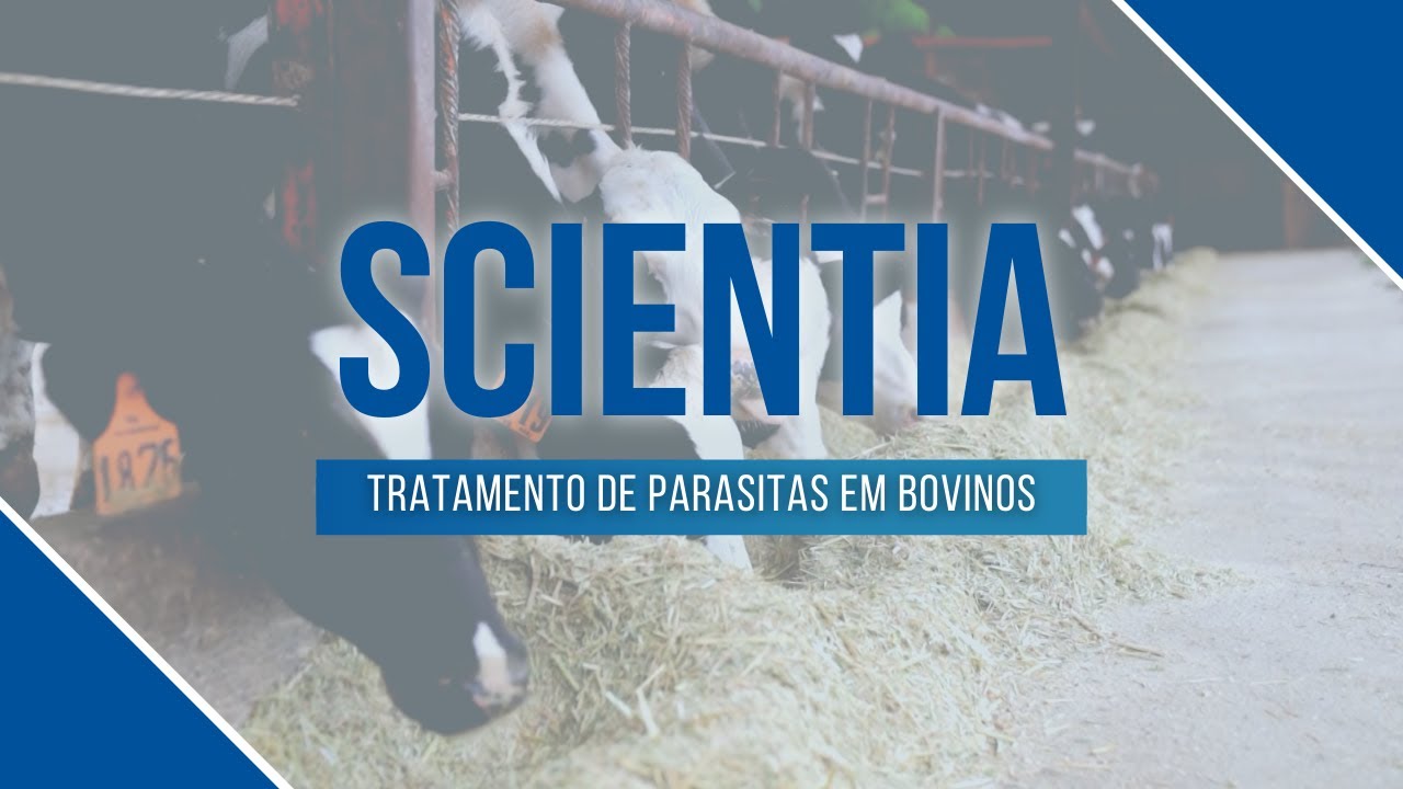Scientia | Novo remédio para parasitas bovinos