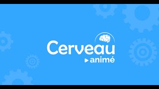 Bande-annonce Cerveau animé
