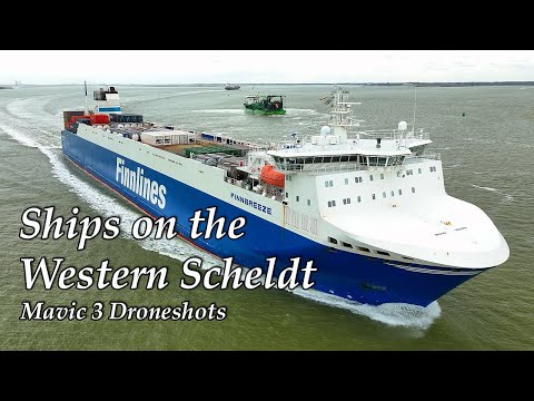 Scheepvaart Westerschelde Maart 2022 - Mavic 3 dronebeelden