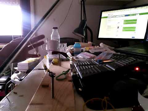 2019 07 27 Mammofone arco