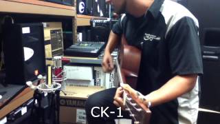 Video thumbnail for Avantone CR-14, CK-7, and CK-1 Demo by Easy Music Center