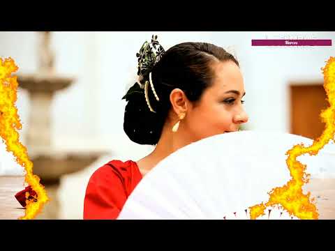 Grupo Encanto Cigano - Chei Chovorriho(tradução)( legendado)