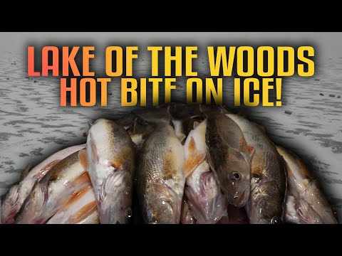Lake of the Woods Ice Fishing Adventure | Full Episode | Fisherman’s Digest