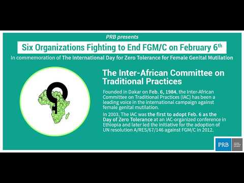 Six Organizations Fighting to End FGM/C Video thumbnail
