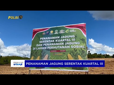 POLRES KUTAI BARAT MENANAM JAGUNG SERENTAK DI AREAL TAMBANG PT. EBH