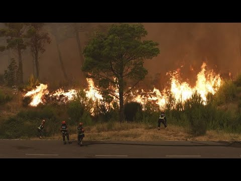 Trockenheit und Hitze: Waldbrände in Albanien und Kroatien greifen um sich