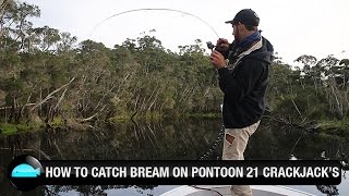 Коробка для приманок pontoon21 lures chillout box vs-3020ns-bl
