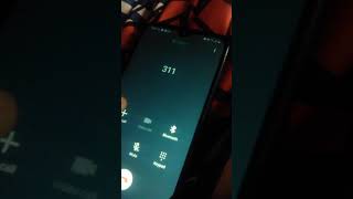Calling 311