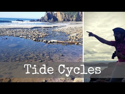 Tide Cycles