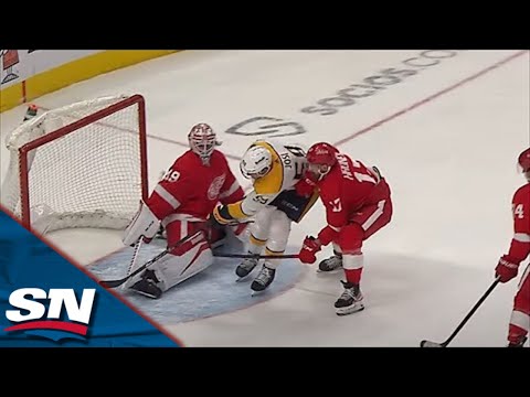 Roman Josi Dekes Through Red Wings Defence To Score Beautiful Solo Goal