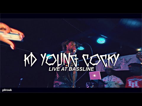 KD YOUNG COCKY - "ANIMAL"  LIVE AT BASSLINE