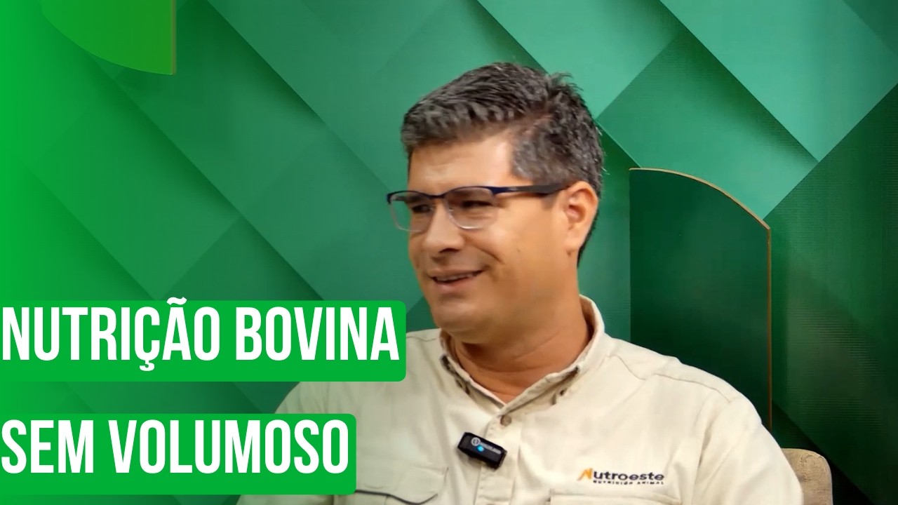 Nutrição bovina sem volumoso