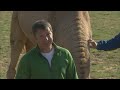 Wild Kratts Promo 2 2010