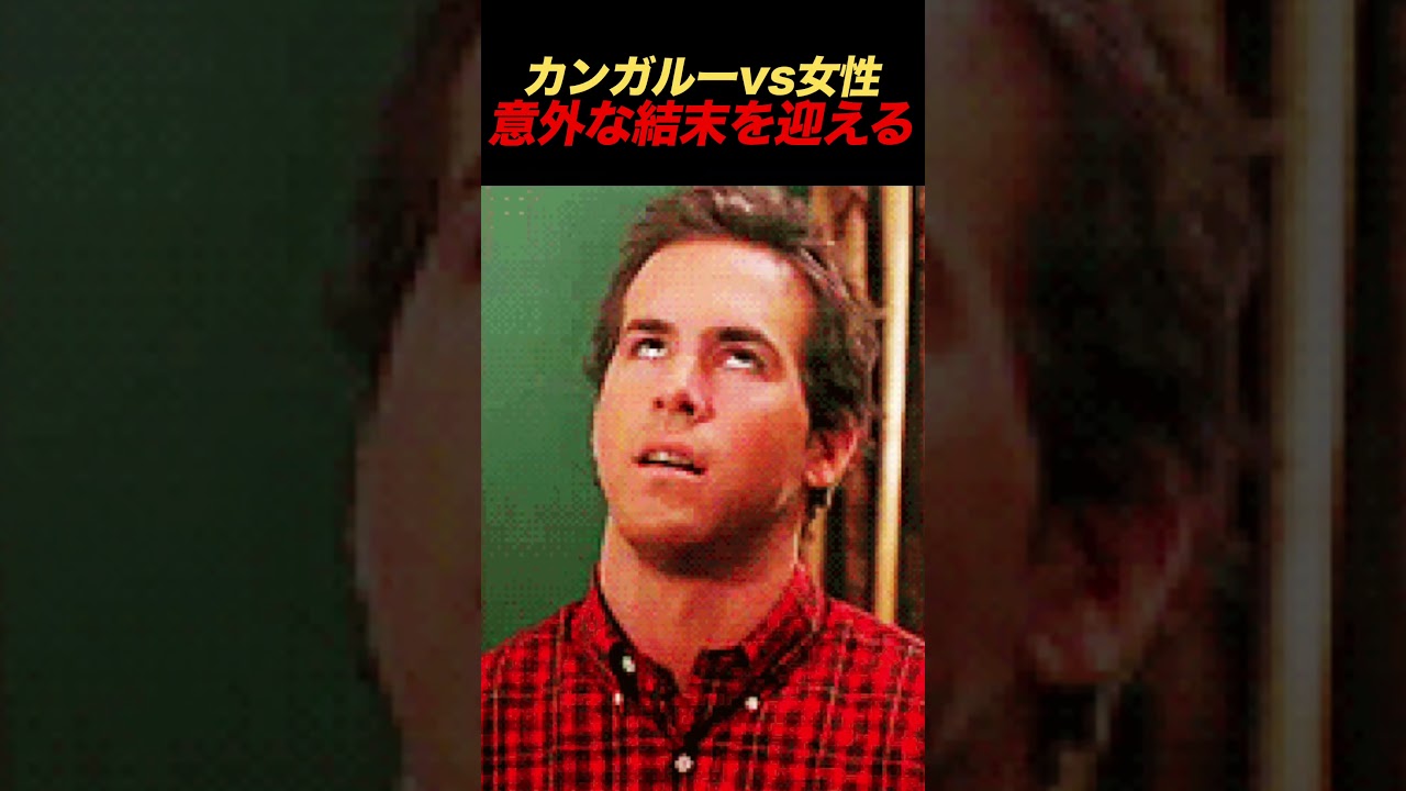 カンガルーに襲われた時の攻略法　#shorts