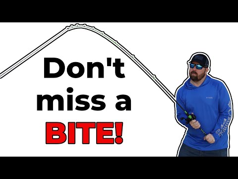 Don't Miss A Bite: Learn The Secrets To Setting The Hook At The Right Time