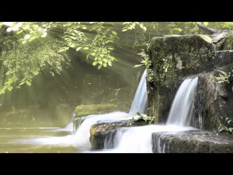 download lagu mp3 mp4 Innerspace Mindfulness, download mp3 Innerspace Mindfulness free download mp3, download mp3 Innerspace Mindfulness