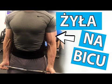 Ćwiczenia na mięśnie między łopatkami Riboksin dawkowania kulturystyki