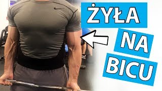 ŻYŁA NA BICEPSIE 💪💪[Zobacz czy TY też możesz mieć kable na łapach]