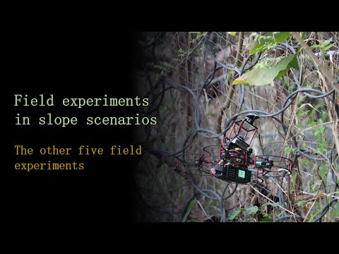 The other five field experiments