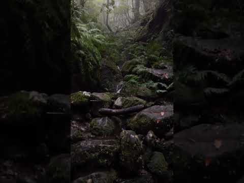 #video #youtubeshorts## #view ##