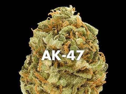 [Free Beat] "AK-47" I Tekashi 6ix9ine x LiL Pump Type Beat I  (pr0d. by Telomoto)