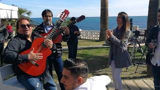 Fiesta con Los GIPSY KING - BAILA ME - Rumba Flamenca