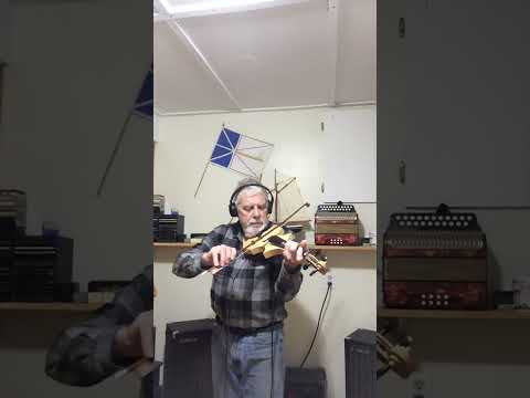 Violin.  leigh.  4/4  fretted electric image 10