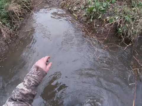 Trapping Illinois 2021/2022.