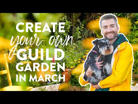 Create Your Own Polyculture Fruit Tree Guild Garden in March