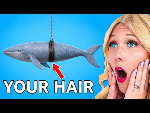 Things You Wish You NEVER Knew (Zack D Films)!