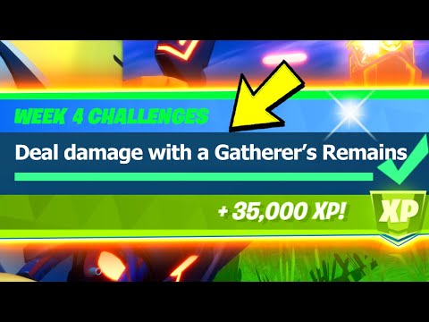 Deal Damage with a Gatherer's Remains (0/10000) - Fortnite