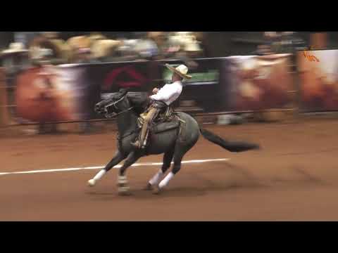 Miguel Cavazos EXXCH21