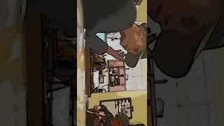 Mama he Treats Your Daughter Mean- Ruth Brown/Susan Tedeschi cover