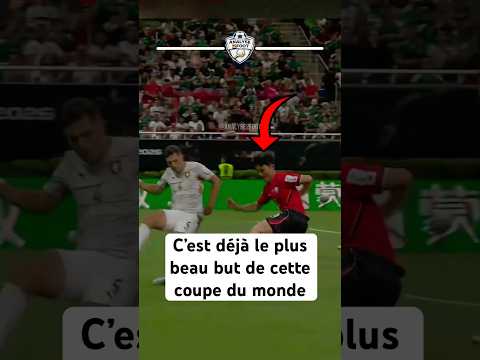 C’est déjà le plus beau but de cette coupe du monde #football #coreedusud #coupedumonde #foot